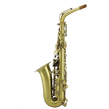 Amazon.co.jp: サックス楽器 高級イエローゴールドラッカー